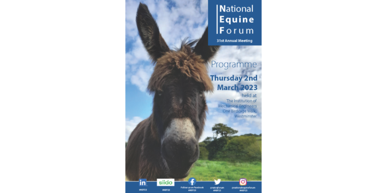 The programme cover for NEF23, including Ziggy the miniature donkey in a field with wide blue sky.