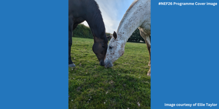 Two horse grazing together. Their heads are close to each other and they form a heart.